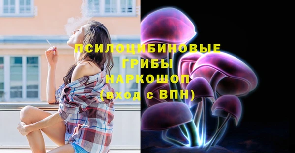 ПСИЛОЦИБИНОВЫЕ ГРИБЫ Аркадак
