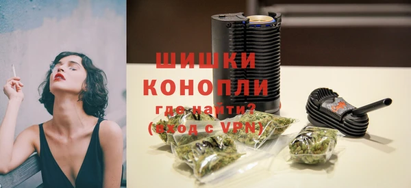 ПСИЛОЦИБИНОВЫЕ ГРИБЫ Аркадак