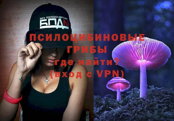 ПСИЛОЦИБИНОВЫЕ ГРИБЫ Аркадак