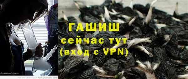 молекула духа Арсеньев