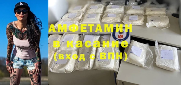 молекула духа Арсеньев