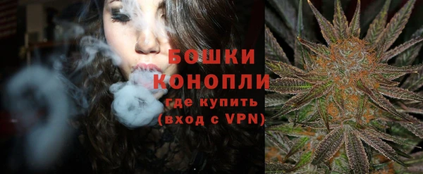 ПСИЛОЦИБИНОВЫЕ ГРИБЫ Аркадак