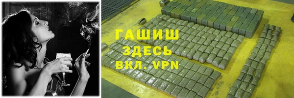 молекула духа Арсеньев
