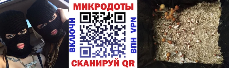 блэк спрут маркетплейс  Приволжск  сайты даркнета наркотические препараты  Псилоцибиновые грибы прущие грибы 